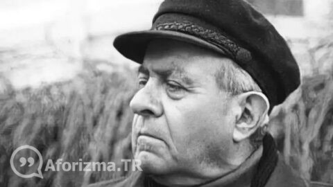 Kelebeklerin bile çocuklardan daha uzun süre yaşadığı bir coğrafyada