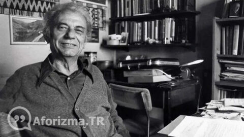 Matematikte zekâdan önce sabır gelir