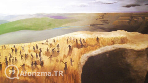 Bir şeyi yapana kadar ne yapacağını nereden biliyorsun