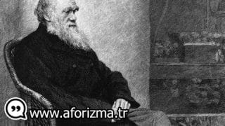 Görmezden gelin, ses etmeyin, cevap vermeyin. Sessizlik herkesi mahveder