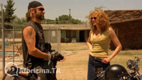 Bana numaranı verir misin?