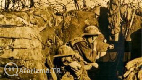 Siperler, yaşamın ve ölümün sınırlarını belirsizleştirir