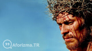 Sevgi bal gibi tatlıdır ama aynı zamanda kandır sözü