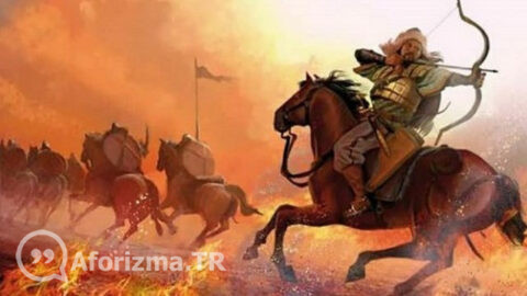 Sarhoş er geç ayılır ama cahil asla