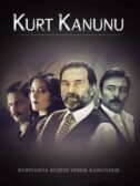 Kurt Kanunu