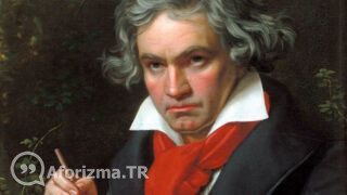 Birkaç sineğin ısırması, yarışı kazanmaya sözü