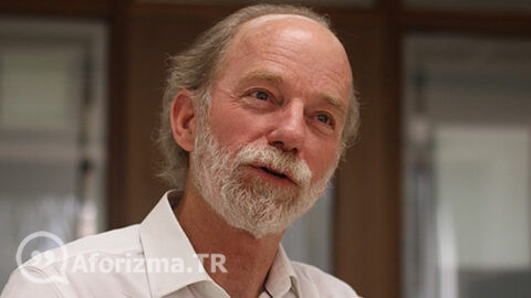 Hırslı bir insan, yabani bir ata