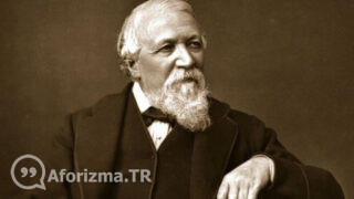 Cehalet, masumiyet değil bir günahtır sözü