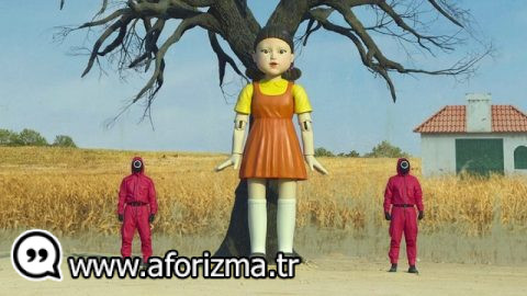 Kırmızı ışık, yeşil ışık