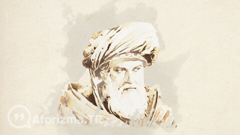 Dilin müşterisi kulaktır