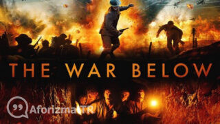 Övgü yukarı doğru gider, fırça aşağı sözü