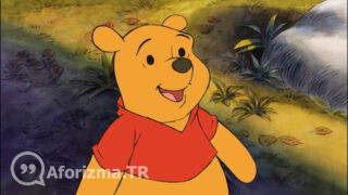 Sevmek ile beğenmek arasındaki farkı biliyor musun sözü