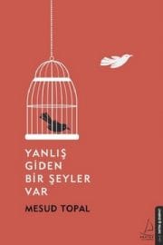 Yanlış Giden Bir Şeyler Var